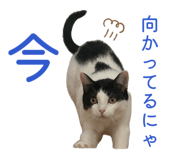 846775682