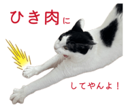 846775684