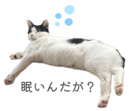 846775688