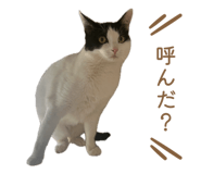 846775692