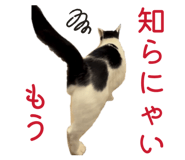 846775694