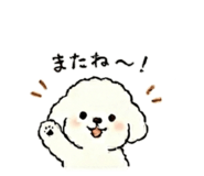 846775716