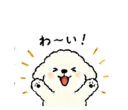 846775717