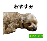 846775810