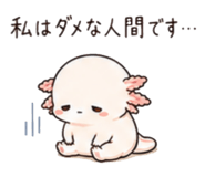 846776752