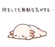 846776765