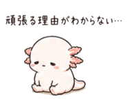 846776770
