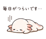 846776775