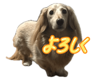 846777468