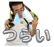 846782550