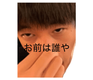 846782816