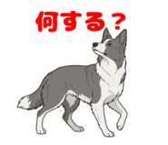846783225