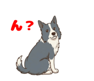 846783231