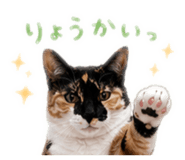 846784004