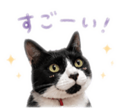 846784012
