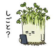 846784164