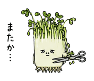 846784168