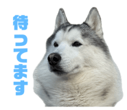 846784842