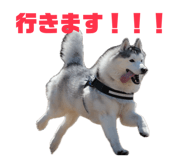 846784843