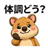 846788314
