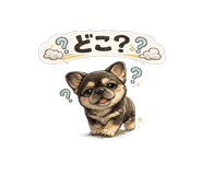 846794929