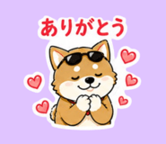 846795067