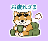 846795070