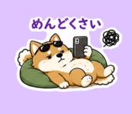 846795075