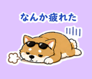 846795076