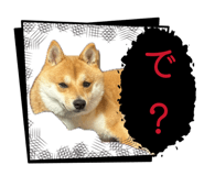 846796523