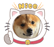846796524