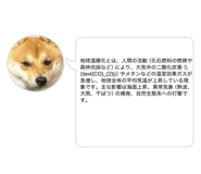 846796526