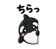 846797334