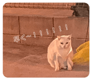 846798404
