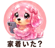846798482