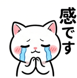 846800833
