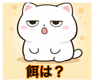 846805894