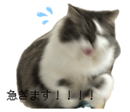 846824440