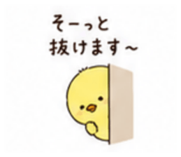 846825771
