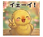 846826304