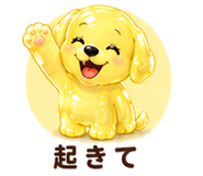 846827122