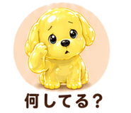 846827127