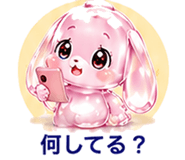 846828007
