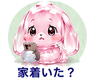 846828010