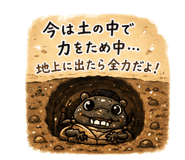 846833011