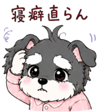846833624