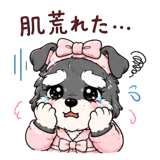 846833629