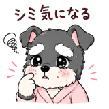 846833633