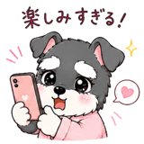 846833641