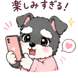 846833642